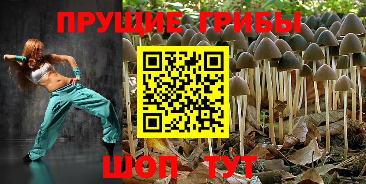 Псилоцибиновые грибы Cubensis  Вход с VPN  Псилоцибиновые грибы Psilocybine cubensis  Рославль 